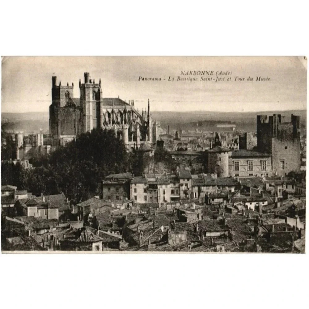 NARBONNE (Aude) Panorama La Bassique Saint-Just et Tour du Musée-France Postcard